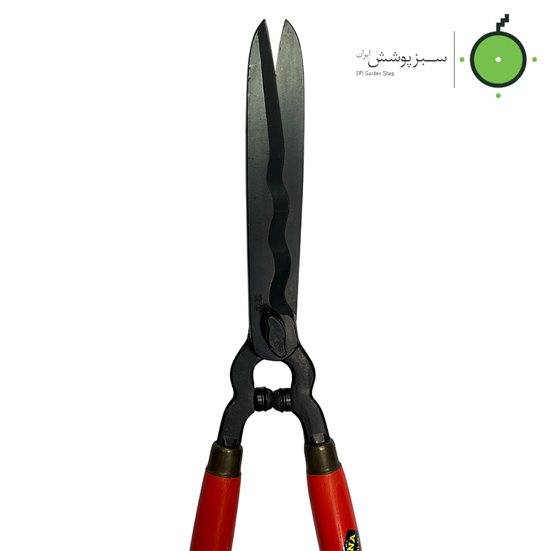 Altona-spain-Boxwood-Shears-model-1031 قیچی شمشادزن آلتونا اسپانیا مدل 1031