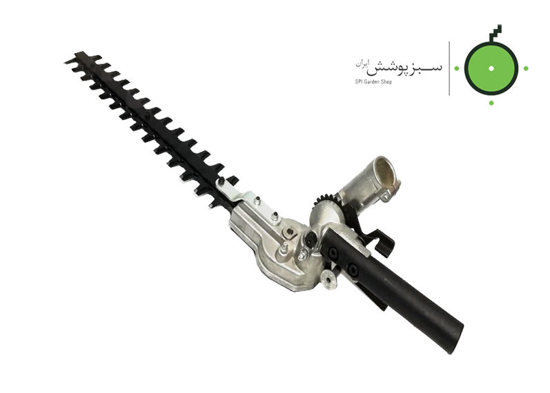 الحاقی شمشادزن